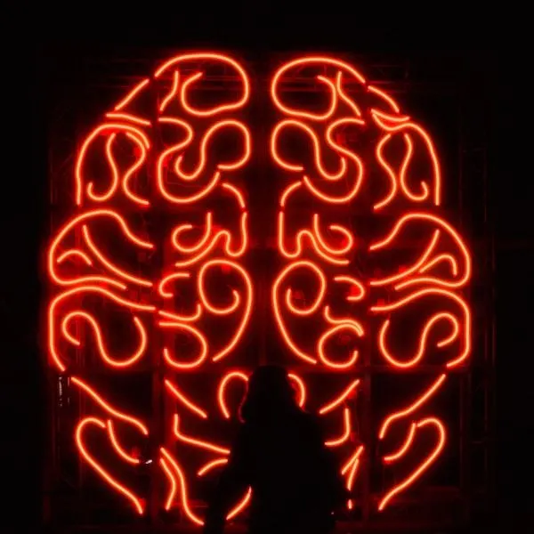 Neurobiologia do Trauma Feminino: Entendendo o Cérebro em Relações Abusivas