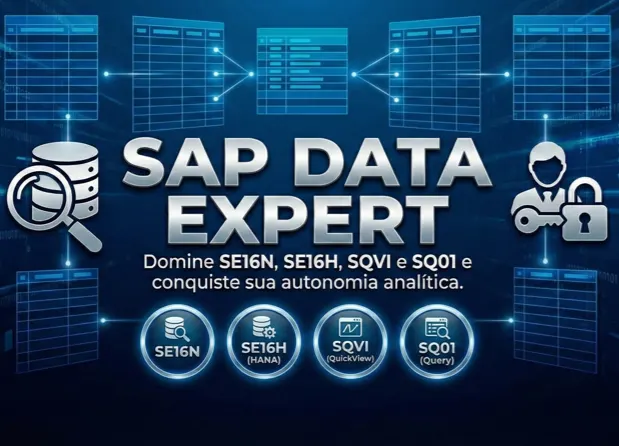 Formação SAP Data Expert: Domine a SE16N, SE16H, SQVI e SQ01