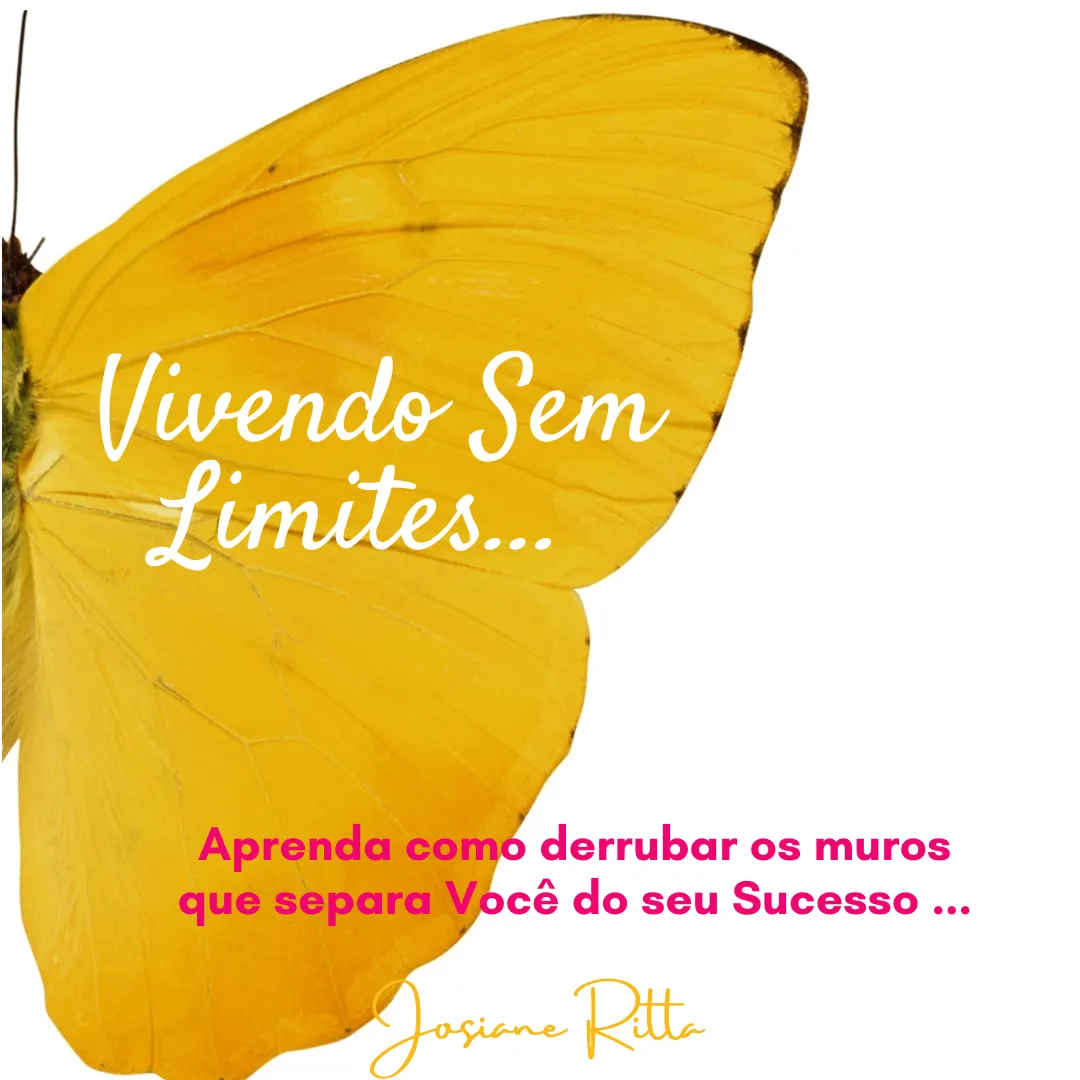 Vivendo Sem Limites - aprenda a derrubar os muros que separa Você do seu sucesso.
