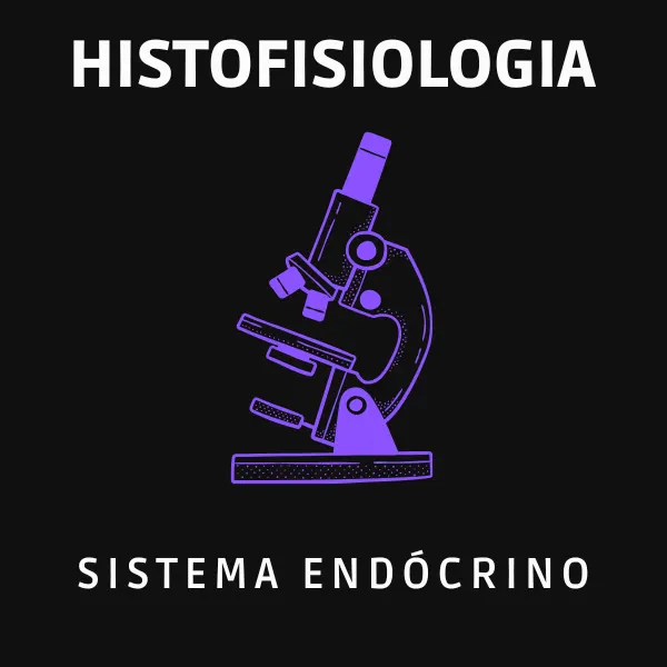 Histofisiologia do Sistema Endócrino