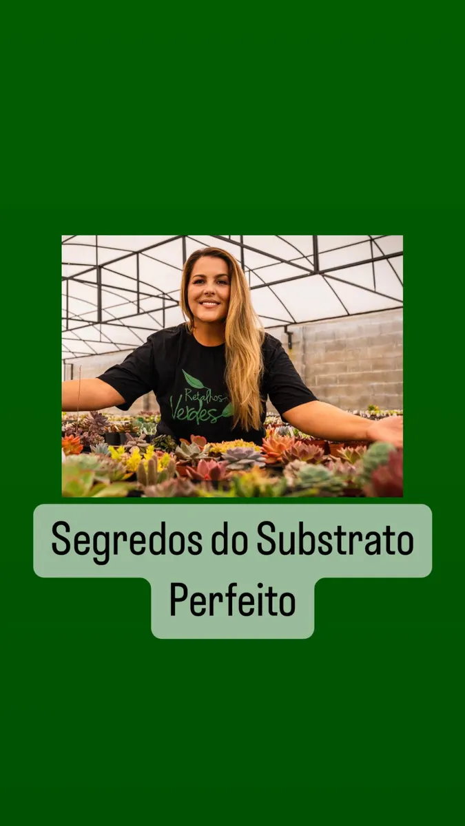 Segredos do Substrato Perfeito