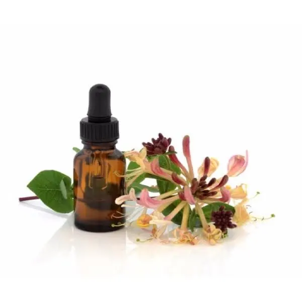 3 Cursos de Terapia Floral vídeo e apostilas.