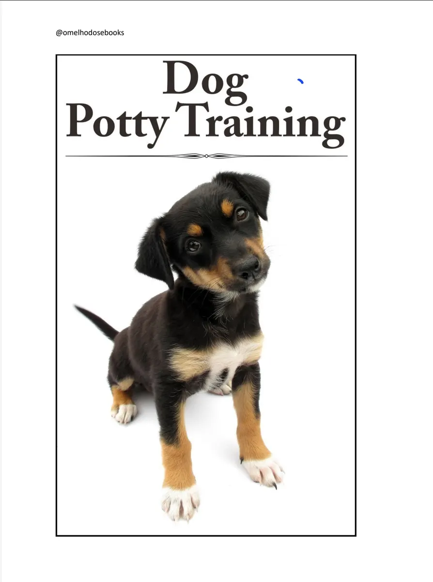 Dog Potty Training!  Como Treinar seu Pet com as Necessidades Diárias