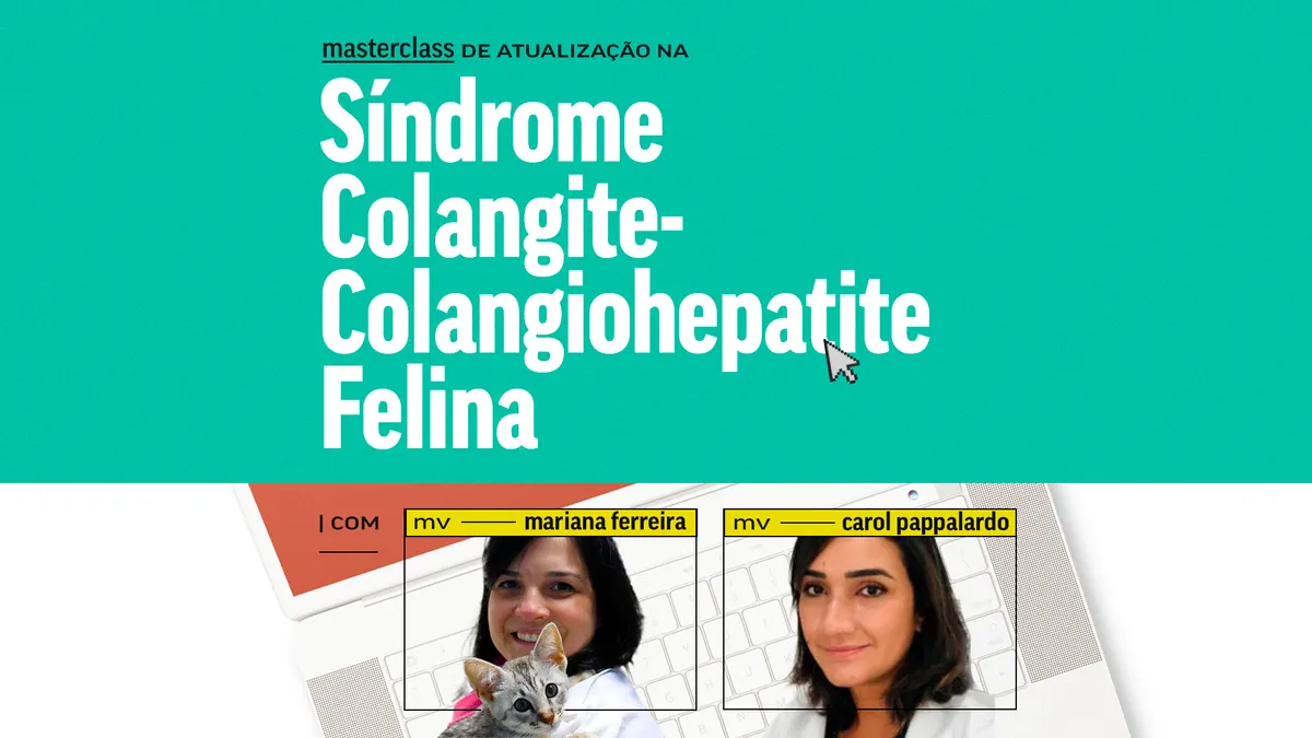Desvendando a Síndrome Colangite/Colangiohepatite Felina