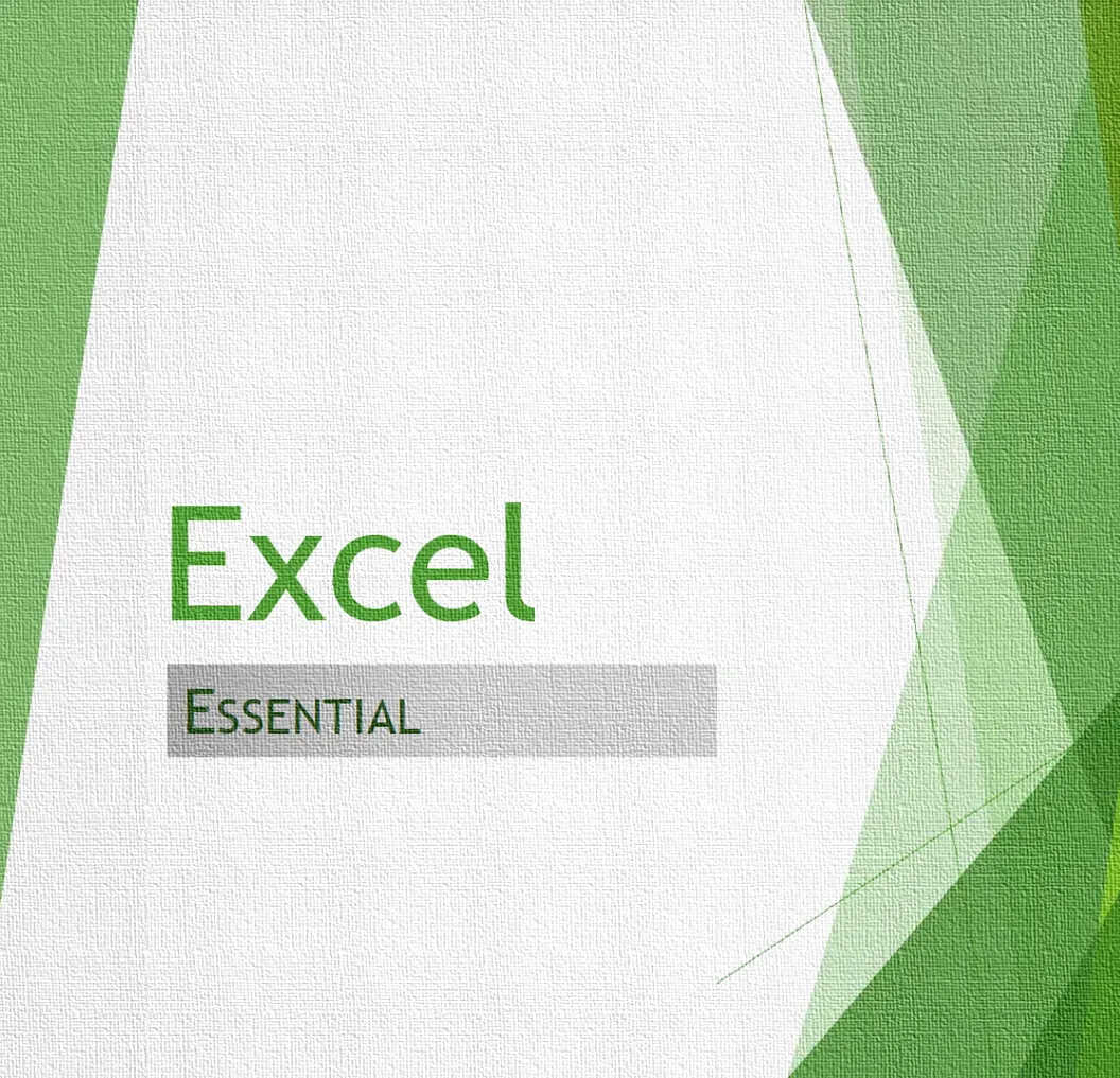 Excel Essential
