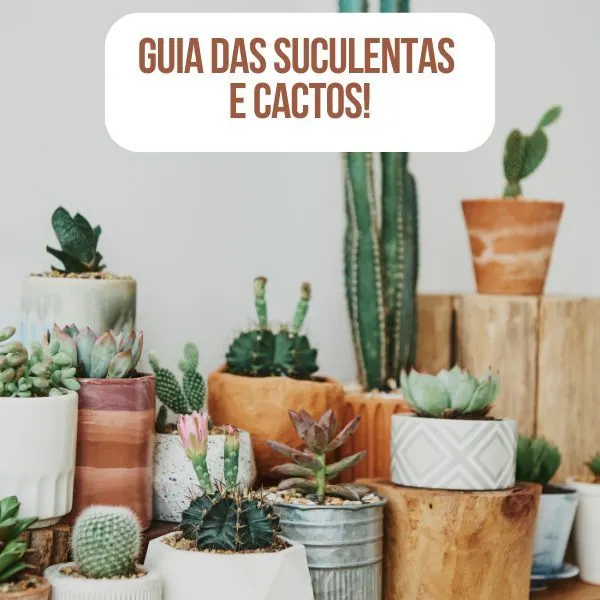 Guia das Suculentas e Cactos O Guia Definitivo para Coleção e Cultivo Perfeitos