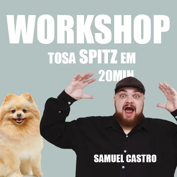 Workshop de tosa do SPITZ ALEMÃO em 20min com SAMUEL CASTRO