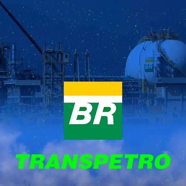 Português para o concurso Transpetro (Petrobras Transporte SA)
