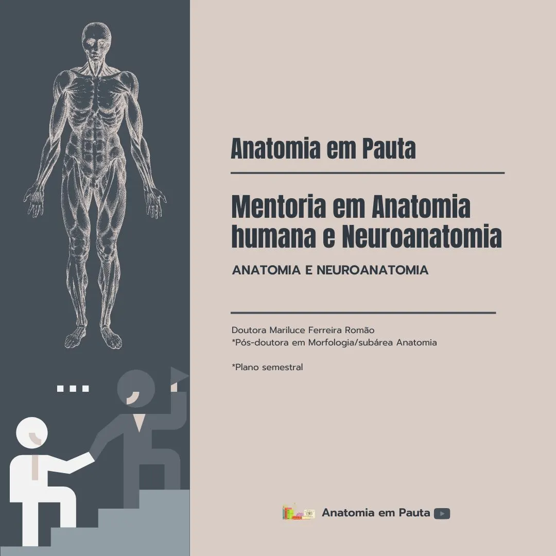 Mentoria em Anatomia e Neuroanatomia