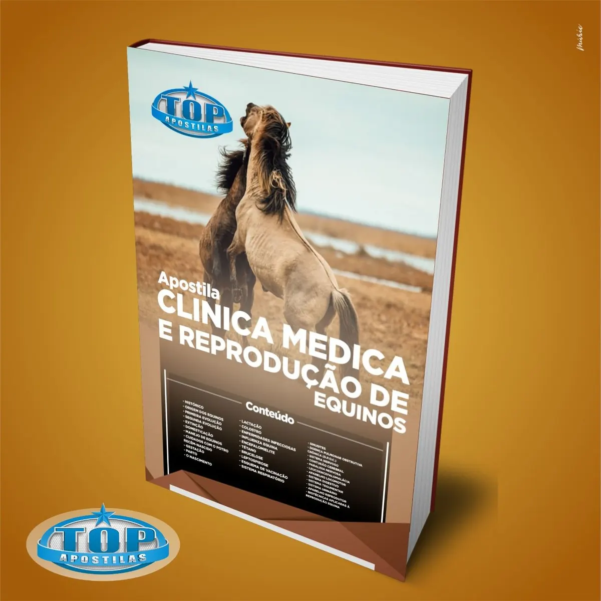 Ebook Clinica Medica e Reprodução de Equinos