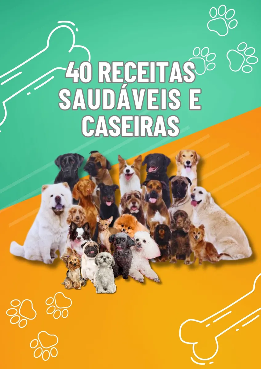 40 receitas saudáveis para pets