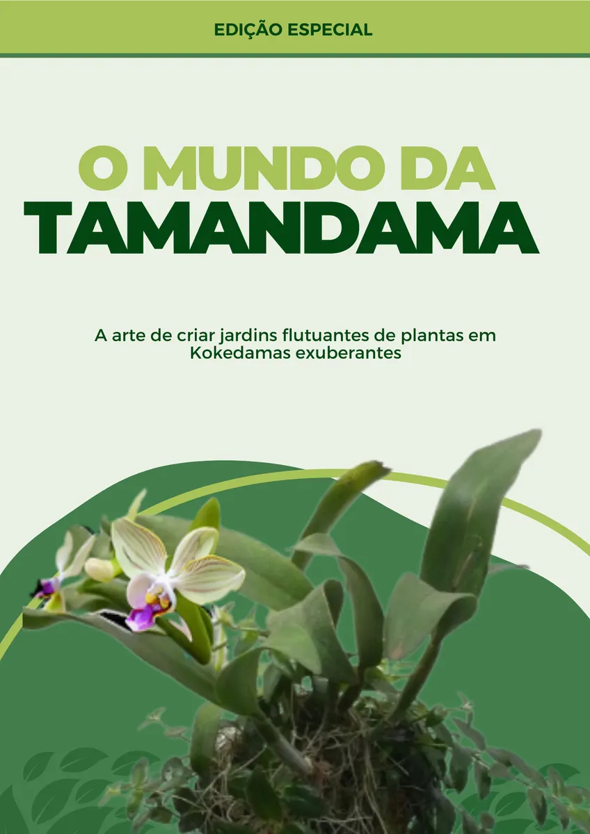 O mundo da Tamandama