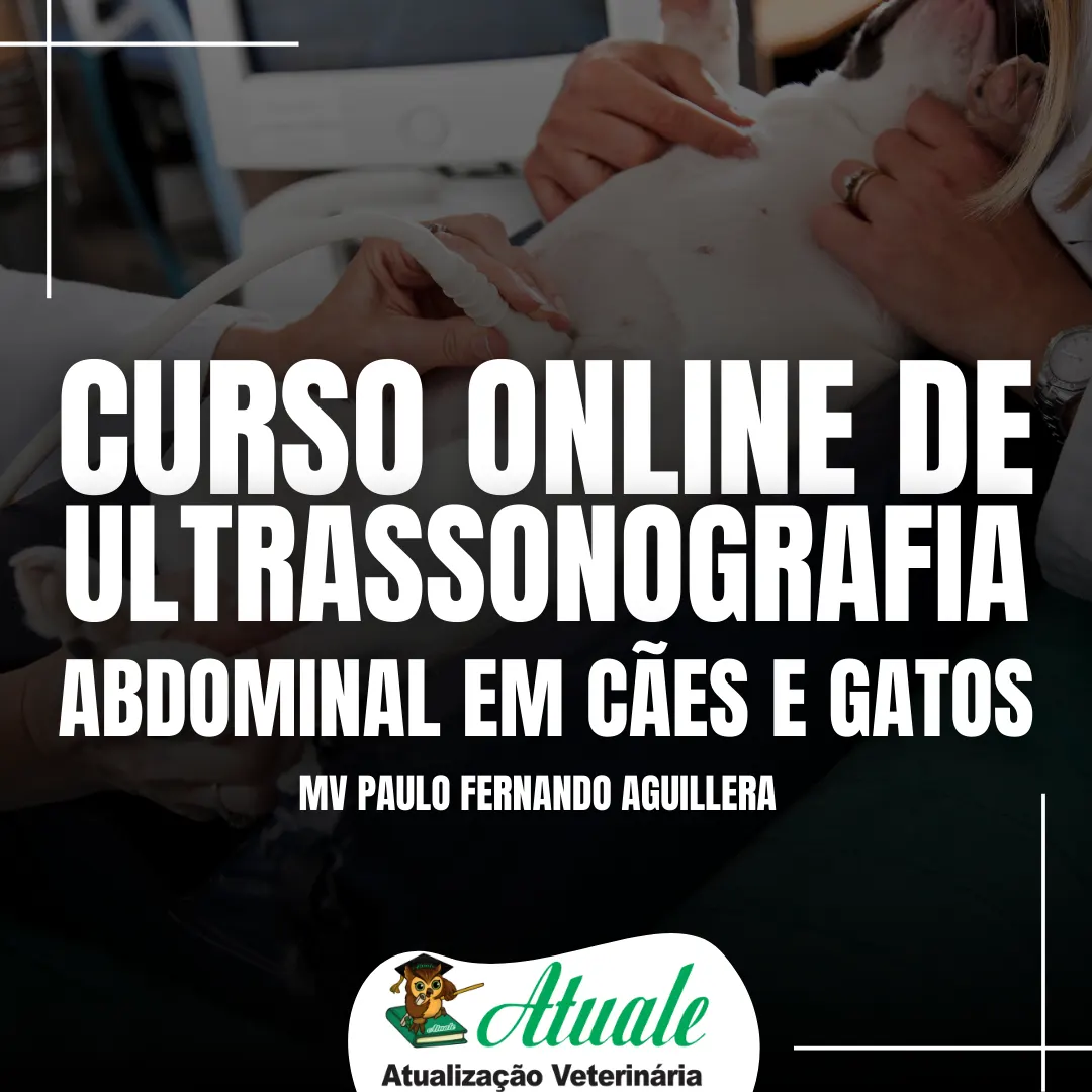 Curso Online de Ultrassonografia Abdominal em Cães e Gatos