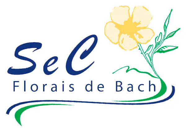 Saúde e Consciência - Florais do Dr. Bach - Formação Profissional