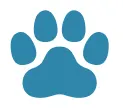 Estrelas Animais | Mentoria – com Luis Estrelas