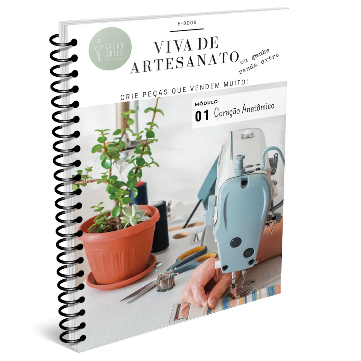 Aprenda a fazer lindos corações anatômicos