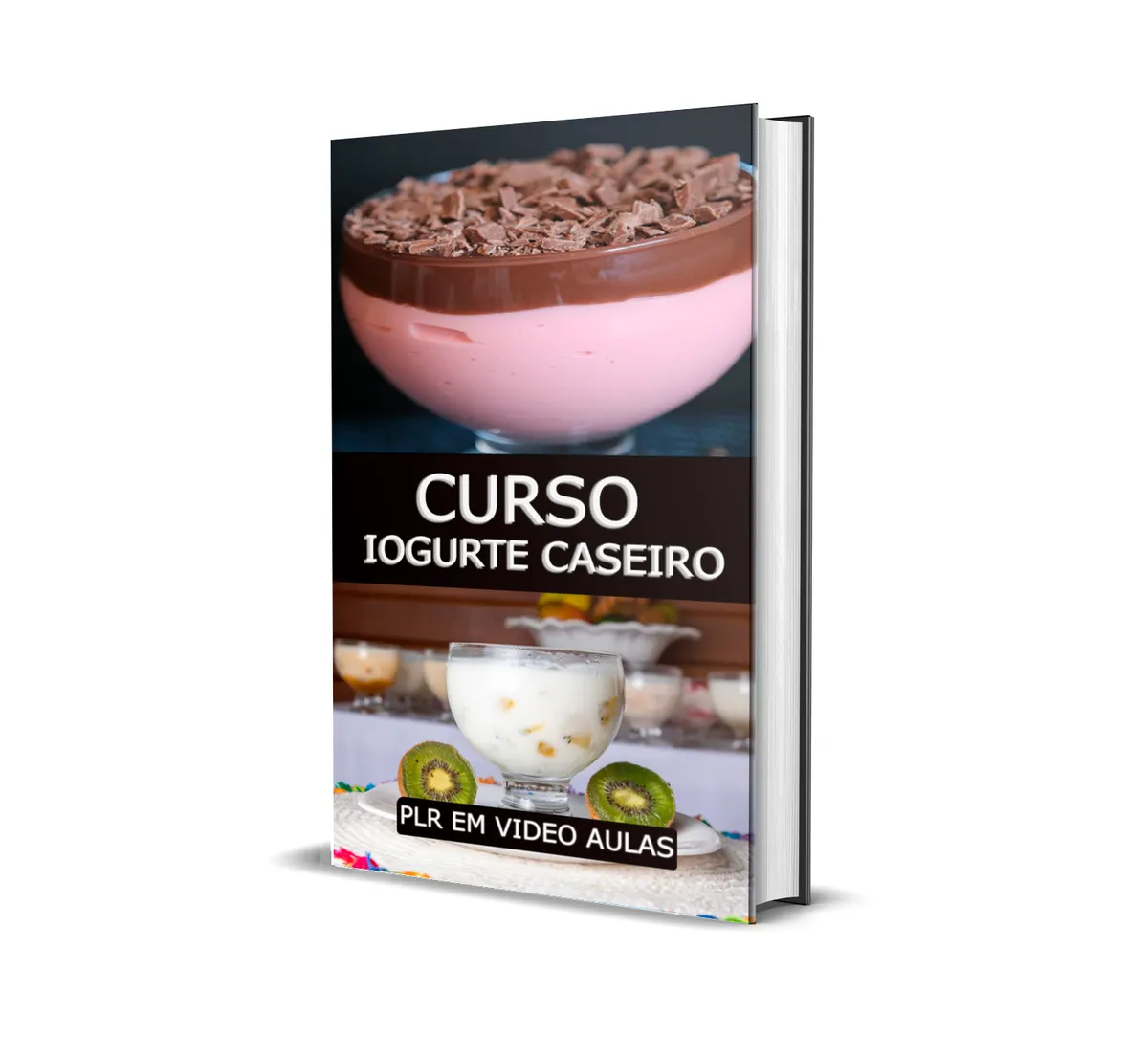 CURSO PLR IOGURTE CASEIRO
