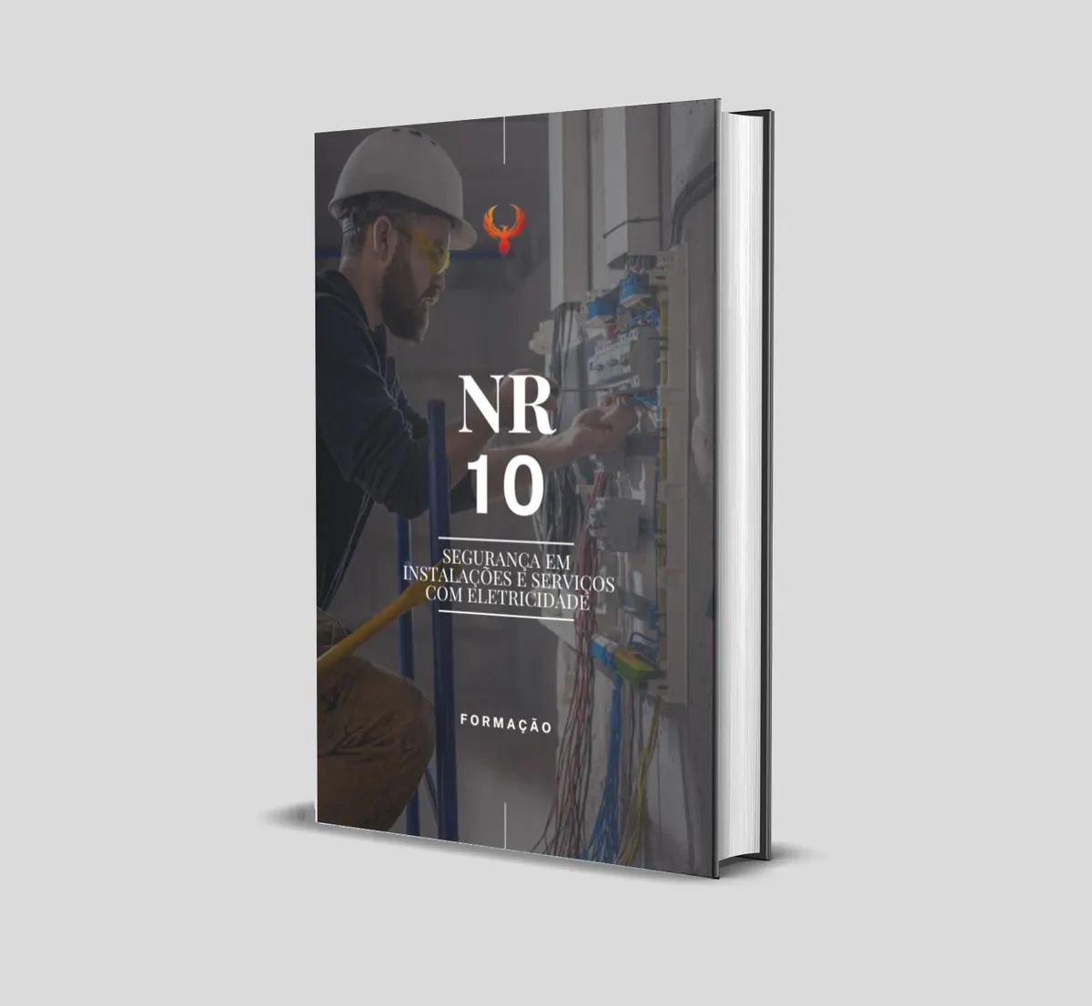 Curso de NR 10 - Segurança em Instalações e Serviços com Eletricidade