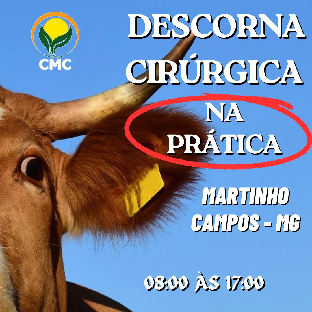 Descorna Cirúrgica na Prática