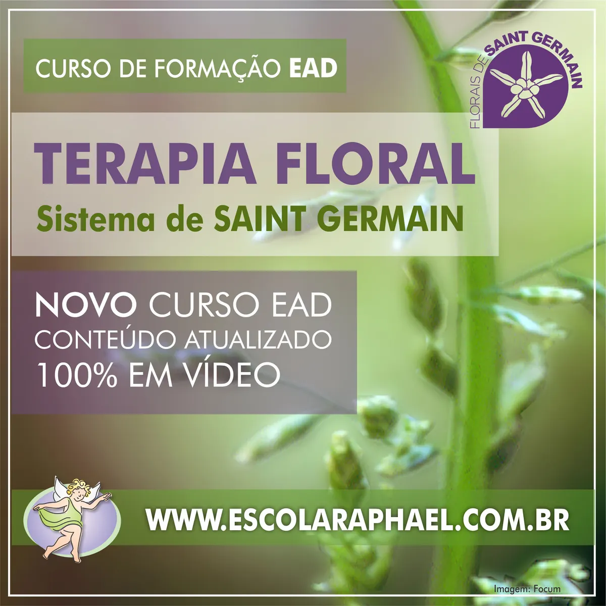 Formação no Sistema de Saint Germain