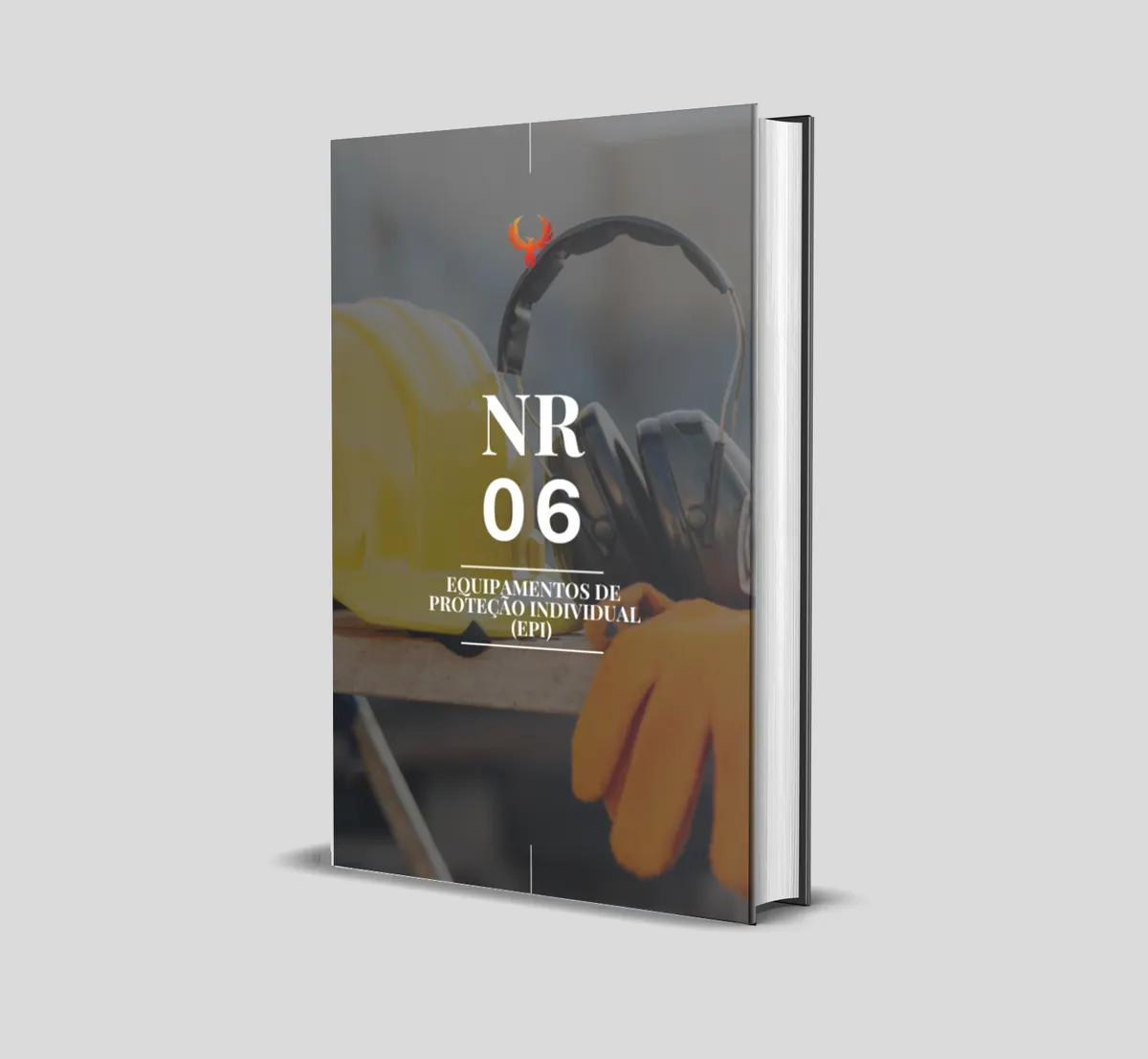 Curso de NR 6 - Equipamentos de Proteção Individual (EPI)