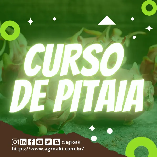Curso de Pitaia