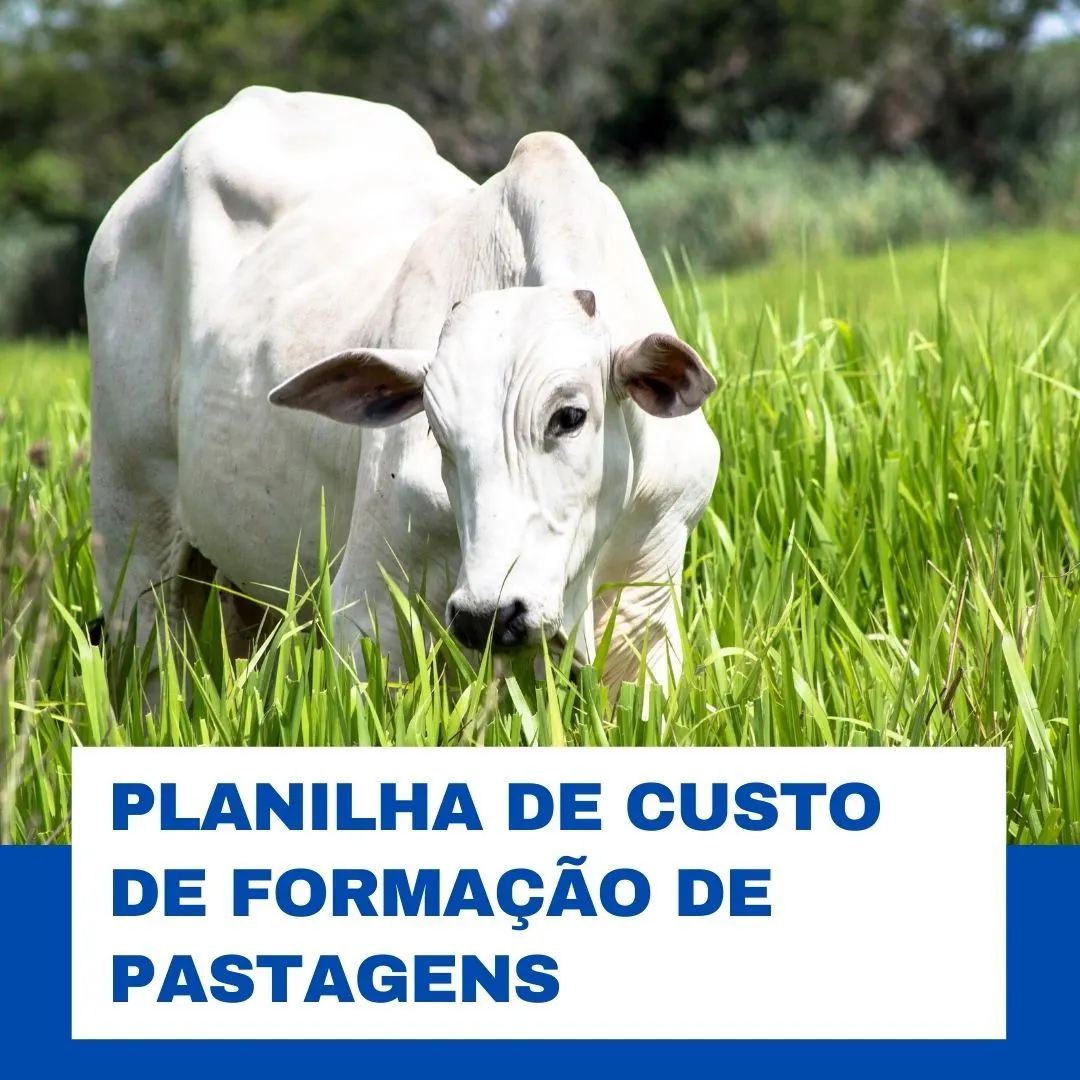 PLANILHA PARA CÁLCULO DE CUSTO DE FORMAÇÃO E MANUTENÇÃO DE PASTAGENS