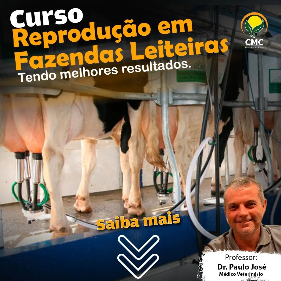 Reprodução em Fazendas Leiteiras: Tendo melhores resultados.