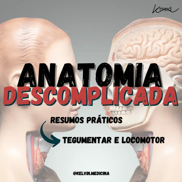 Descomplicando a Anatomia: Aprenda ou Revise com Resumos Práticos