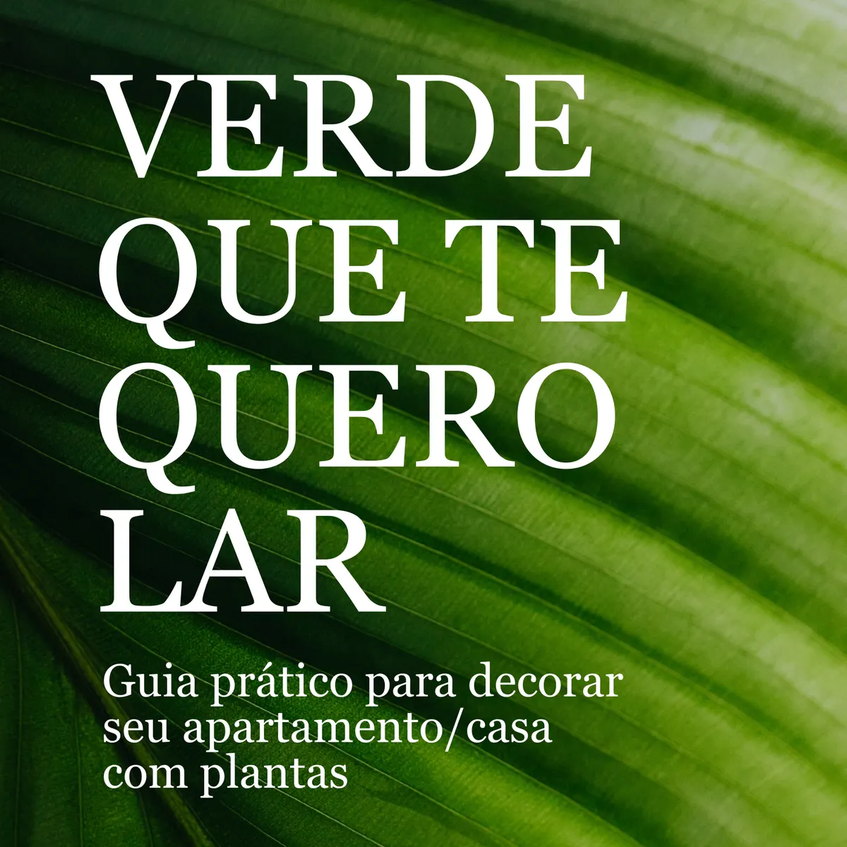 Verde que te quero lar: Guia prático para decorar seu apartamento com plantas