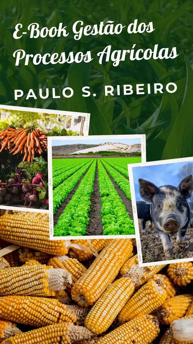 E-Book Curso Gestão dos Processos Agrícolas