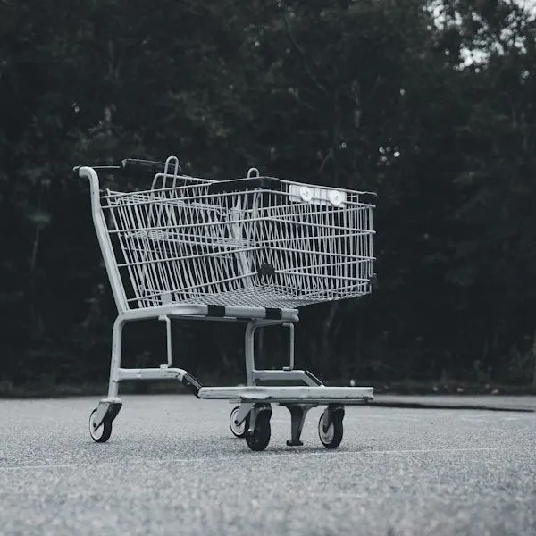 Formação de Compradores: Estratégias para o Sucesso Profissional