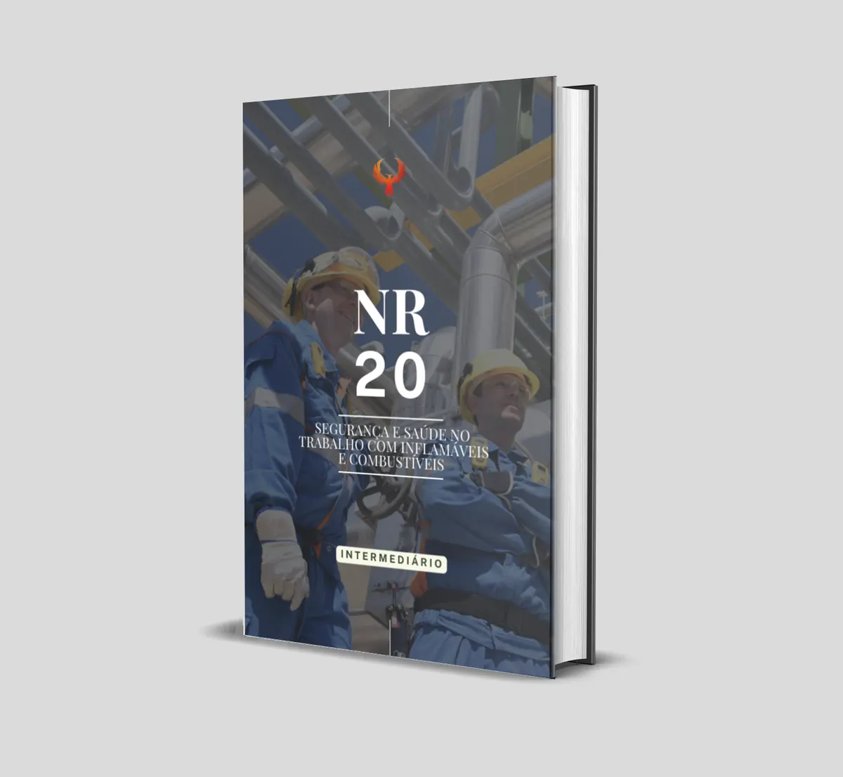 Curso de NR 20 - Segurança e Saúde no Trabalho com Inflamáveis e Combustíveis (Intermediário)
