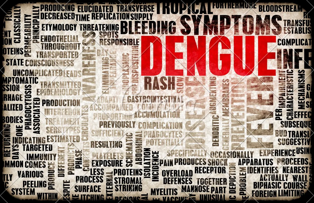 Dengue: Guia Completo de Prevenção e Tratamento