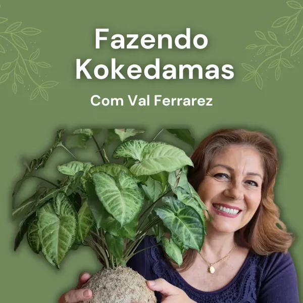 Kokedamas Lucrativos
