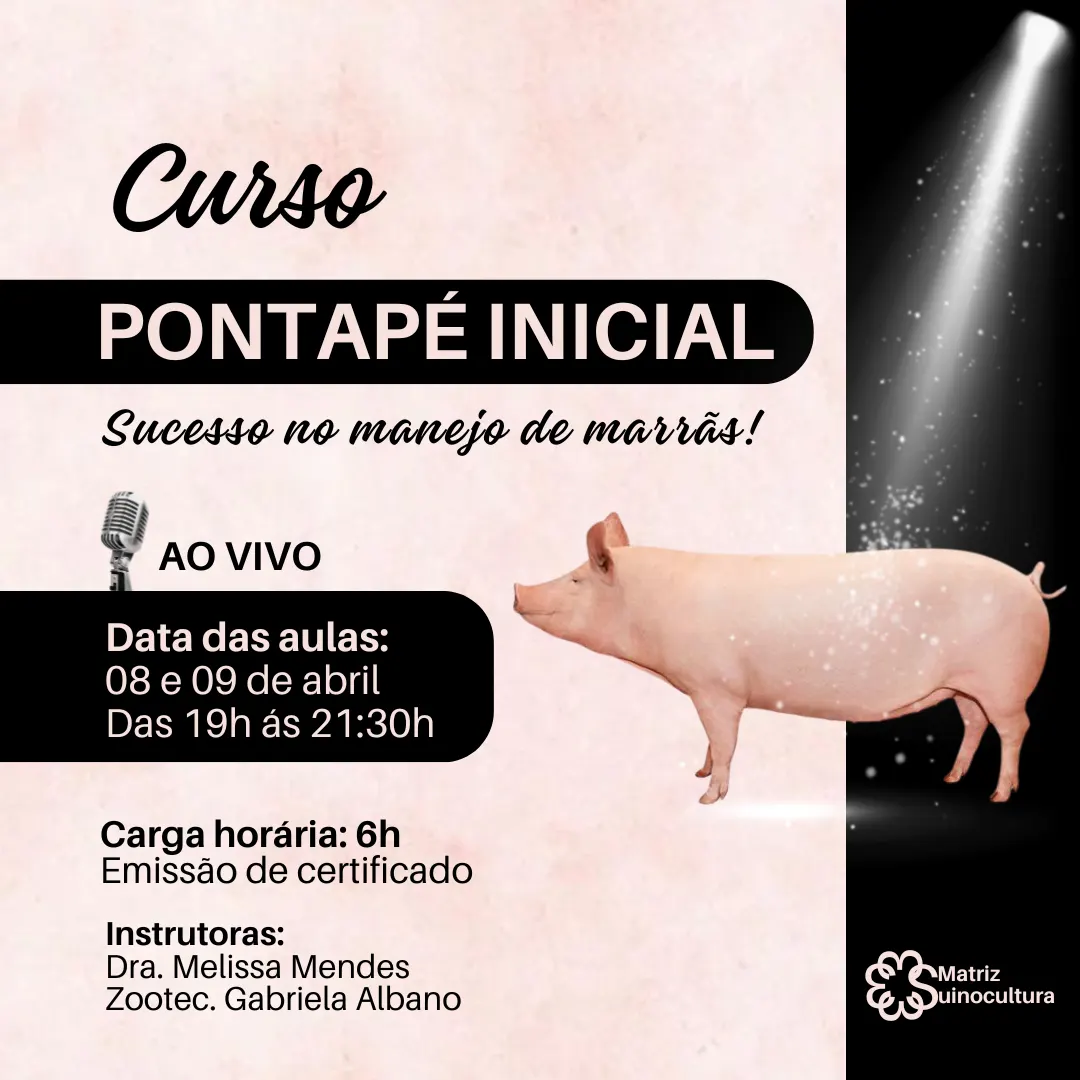 Curso pontapé inicial - Marrãs
