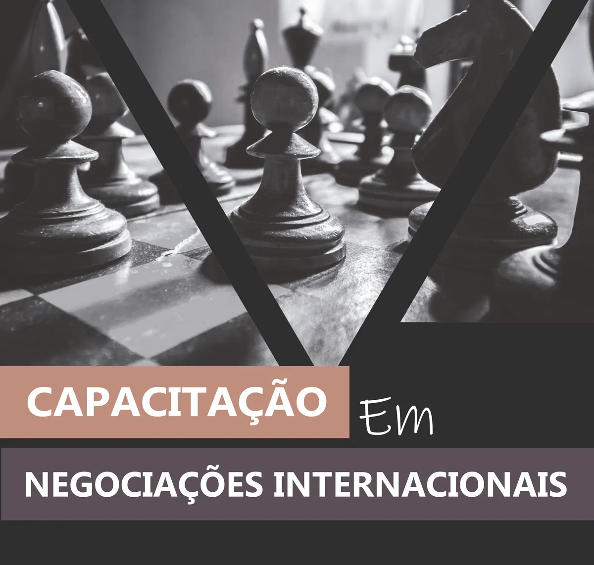 Capacitação em Negociações Internacionais