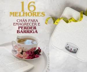 16 melhores chás para emagrecer e perder barriga