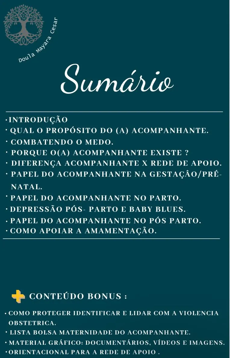 Guia Prático do Acompanhante: Um Manual Completo para Acompanhante Gestacional