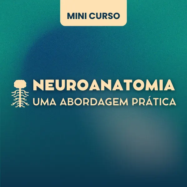 Mini Curso Neuroanatomia uma abordagem pratica