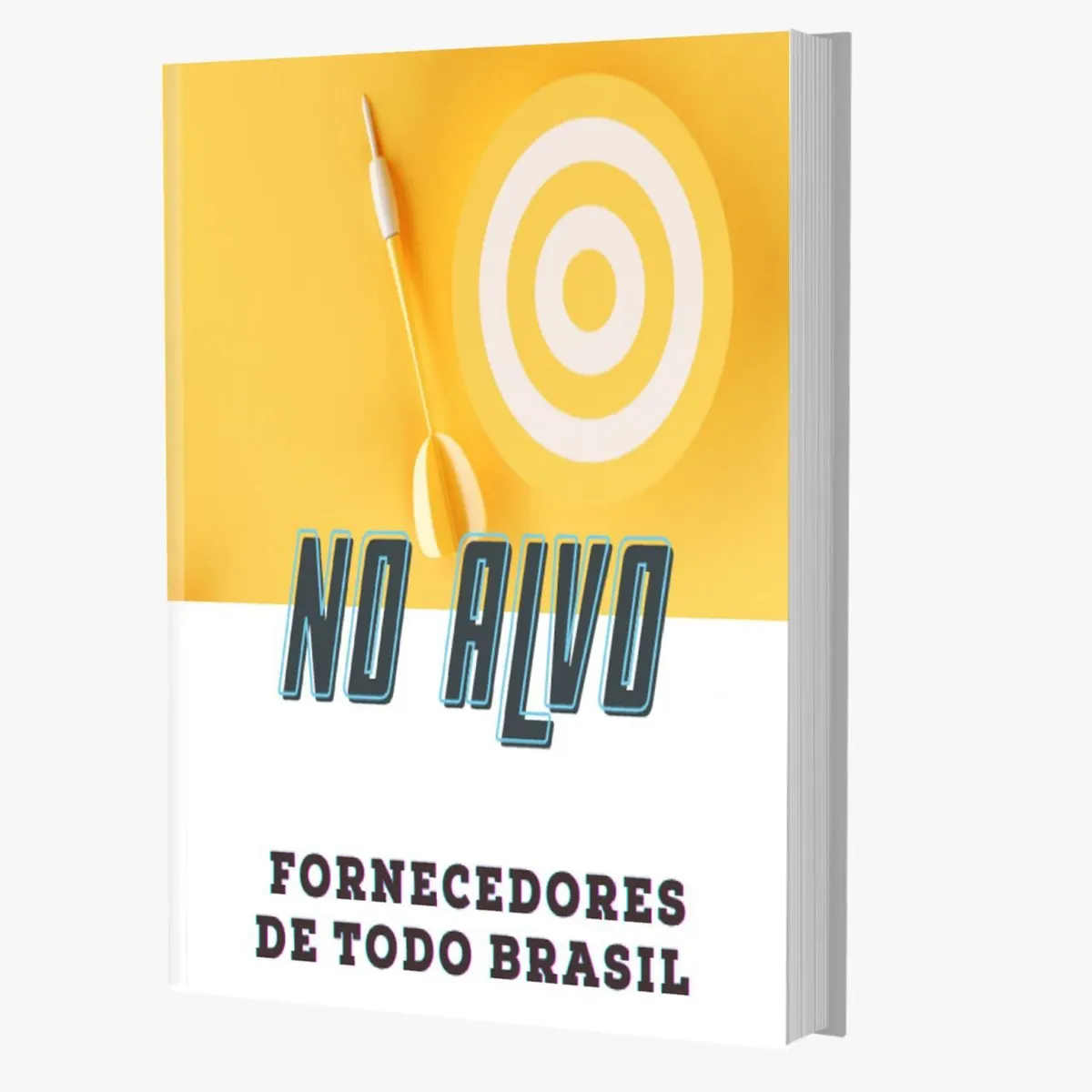 No Alvo ! Fornecedores e estratégias de vendas