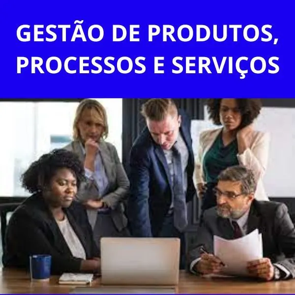 GESTÃO DE PRODUTOS, PROCESSOS E SERVIÇOS