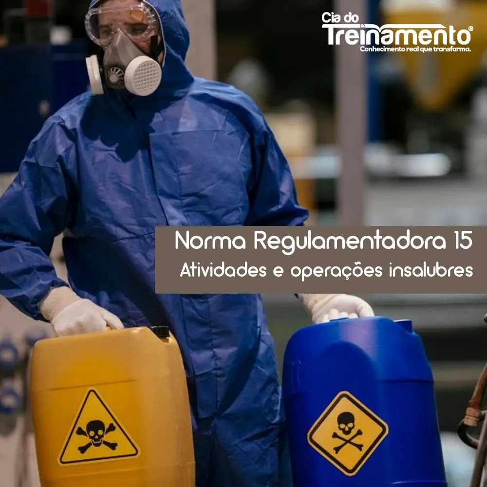 TREINAMENTO NR-15: ATIVIDADES E OPERAÇÕES INSALUBRES