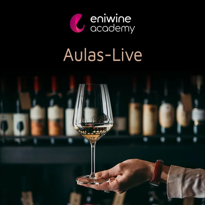 Aulas-Live de Vinhos | Eniwine Academy
