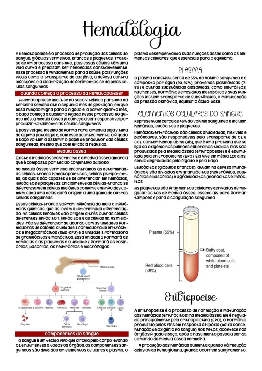 RESUMOS DE HEMATOLOGIA