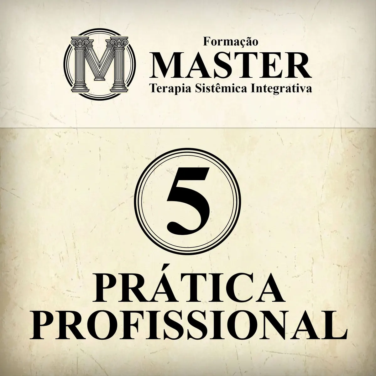 Formação Master Módulo 5 - Prática Profissional