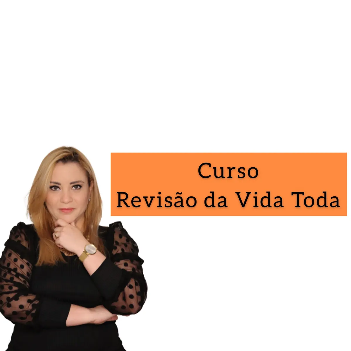 Curso: Revisão da Vida Toda na Prática