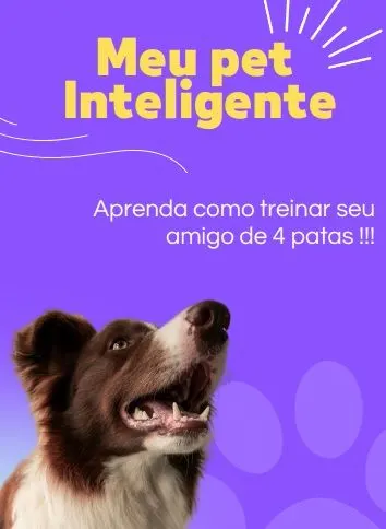 Meu pet Inteligente
