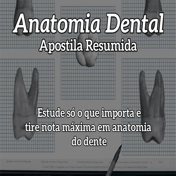 Anatomia Dental - Apostila Resumida - Estude Só o Que Importa e Tire Nota Máxima em Anatomia do Dente