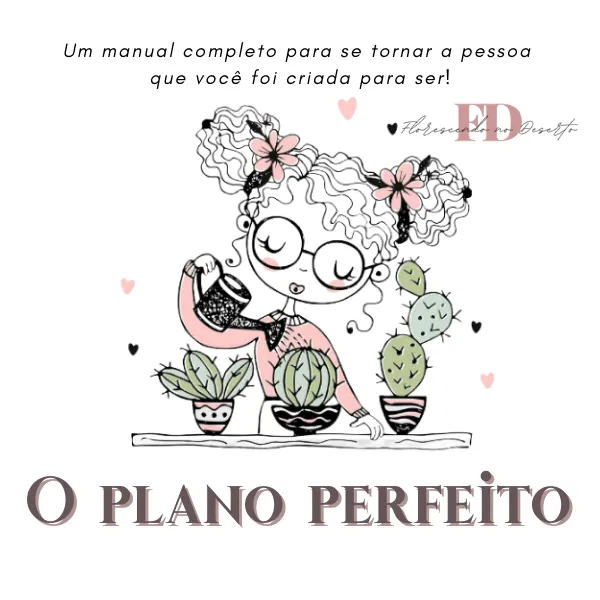 O Plano Perfeito
